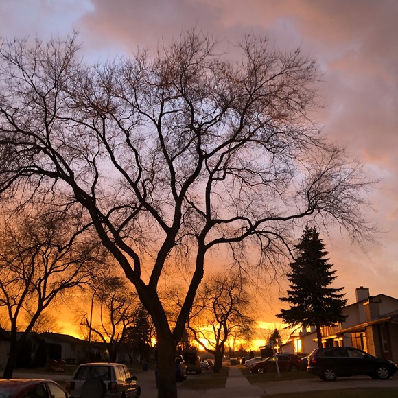 Meet your Posher, Braham - Picture 1 of 1